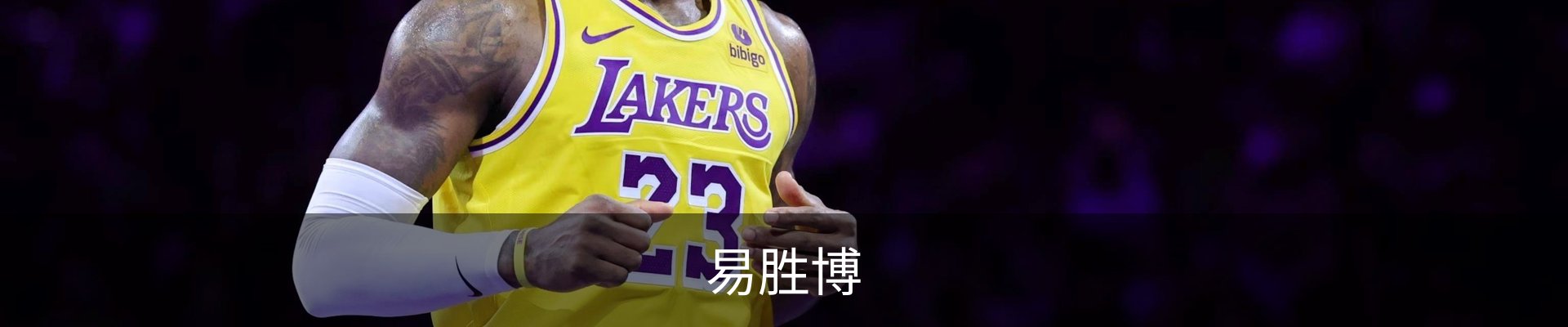 易胜博-易胜博YSB·(中国)官方网站